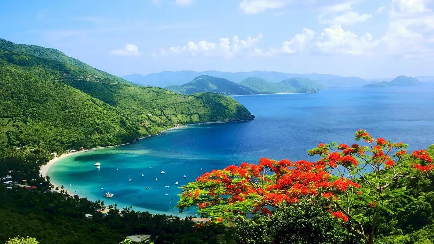 高标准可靠性科技